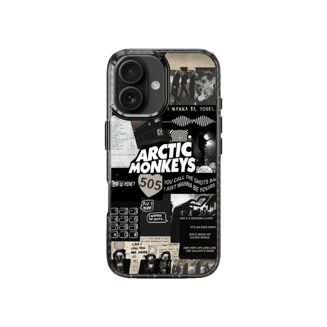 Artists Stride 2.0 Cases