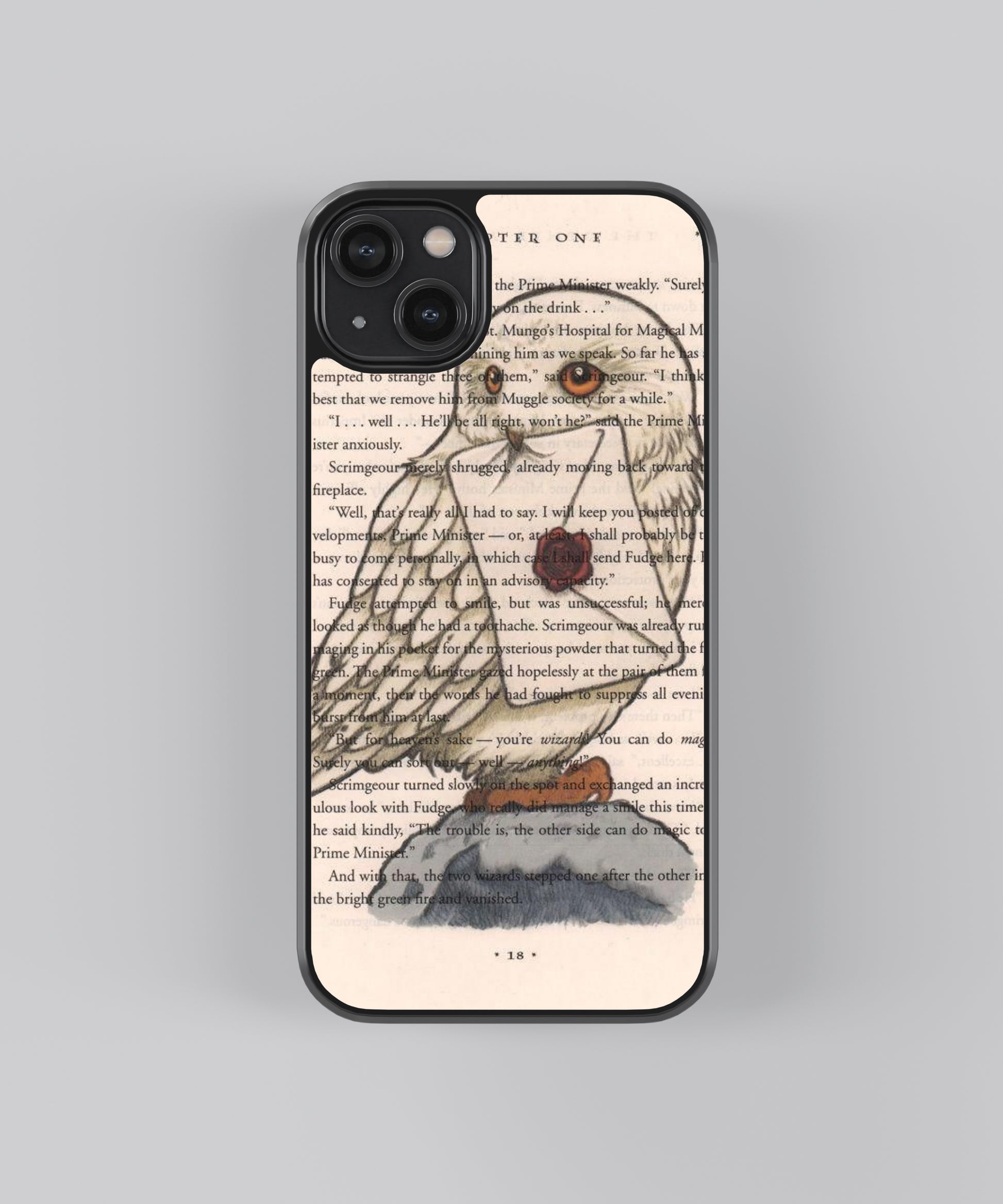 Harry Potter Chapter 1 Pop Culture Glass Phone Case Cover - Aesthetic Phone Cases - Culltique