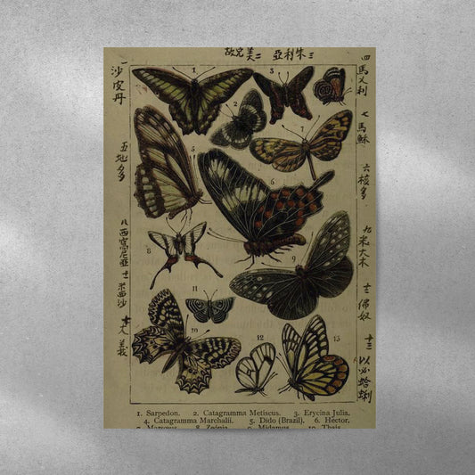Butterflies Vintage Aesthetic Metal Poster - Aesthetic Phone Cases - Culltique