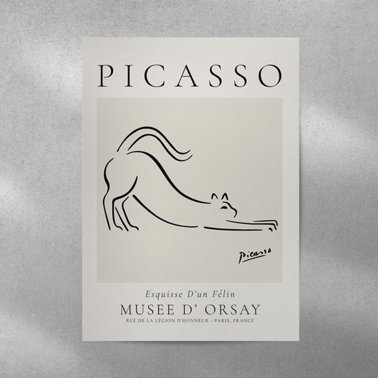 Picasso Abstract Aesthetic Metal Poster