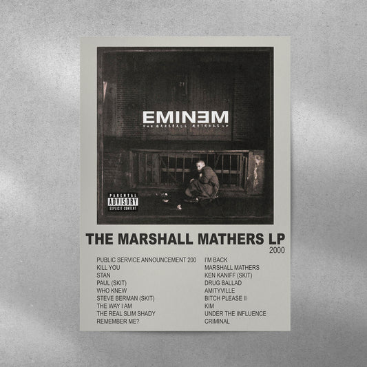 Eminem Spotify Aesthetic Metal Poster - Aesthetic Phone Cases - Culltique